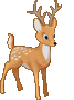 deer1.gif