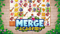 merge academy merge academy
